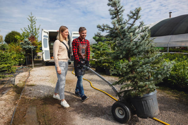 Professional Tree Care Services in Prague, OK